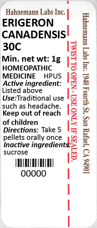 Erigeron Canadensis 30C 1g - Erigeron Canadensis 30C 1g